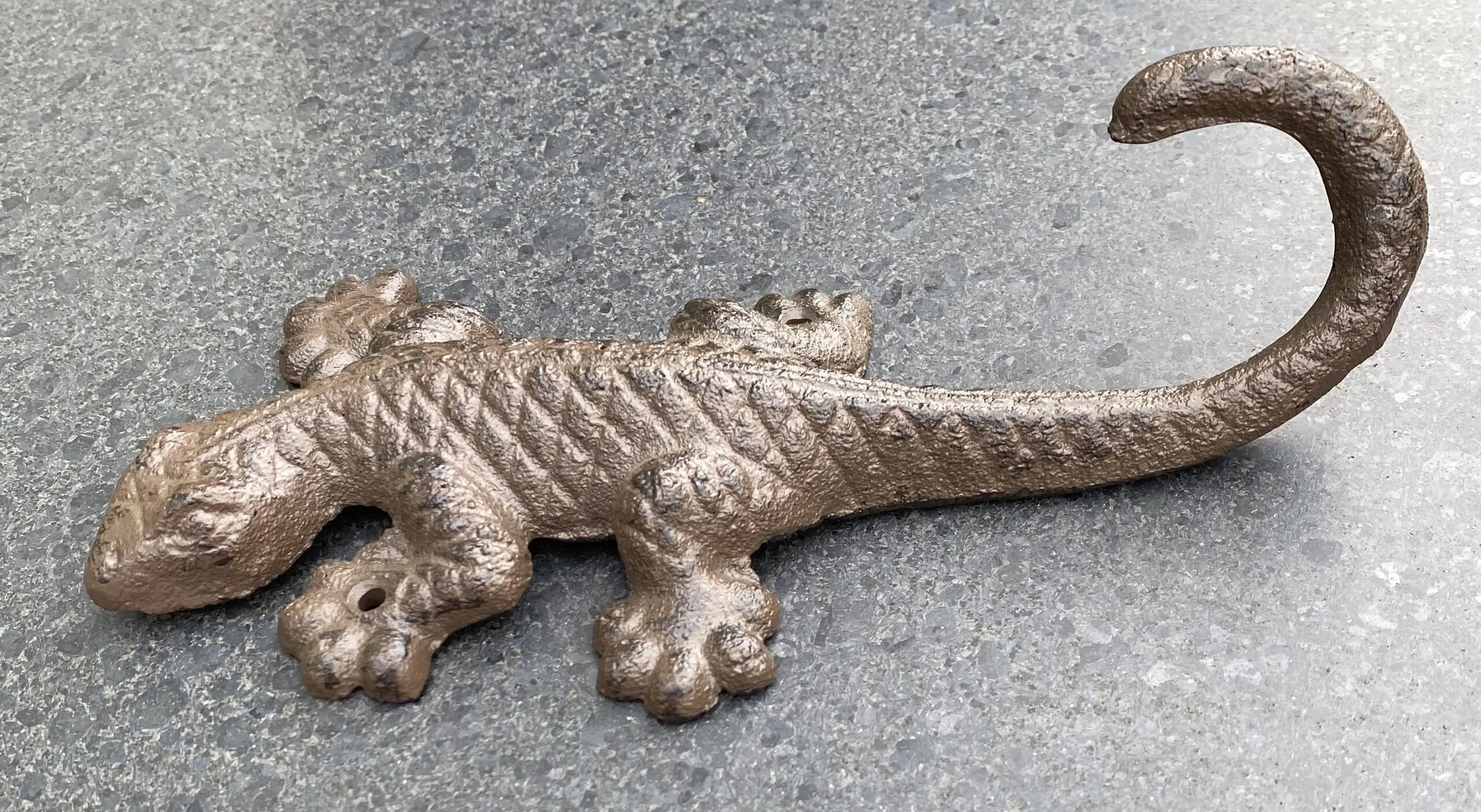 Salamander, Hagedis, Muurhanger, HG110