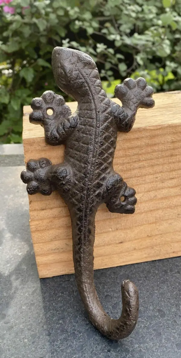 Salamander, Hagedis, Muurhanger, HG110 - Afbeelding 3