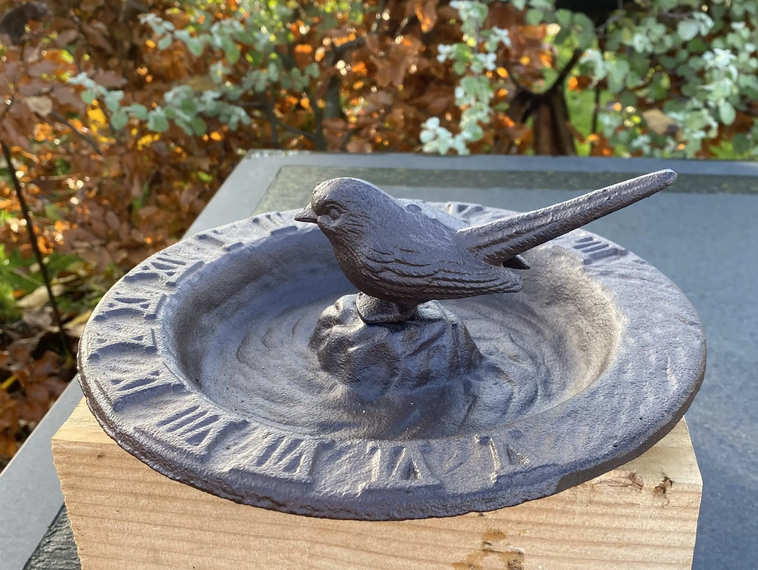 Vogelschaal, vogelbad met zonnewijzer en vogel, gietijzer TH93
