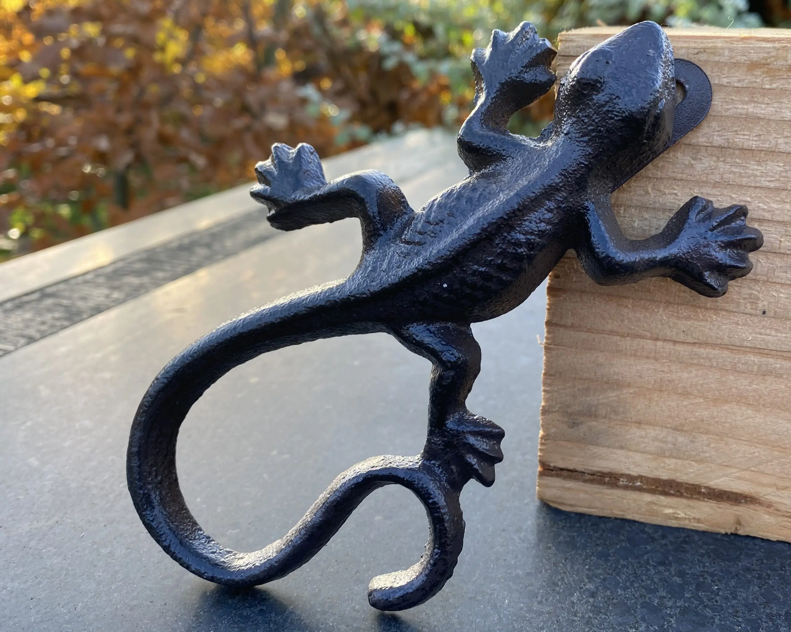 Hagedis, salamander, gietijzer, muurhanger HG321 - Afbeelding 3