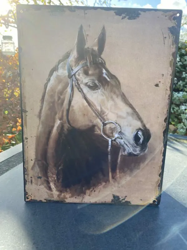 Decoratiebord Paard, Paardenhoofd, Metaal DBP415 - Afbeelding 2