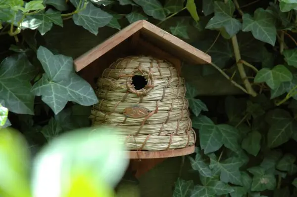 Nestkast Bijenhuis voor Mezen - Afbeelding 2
