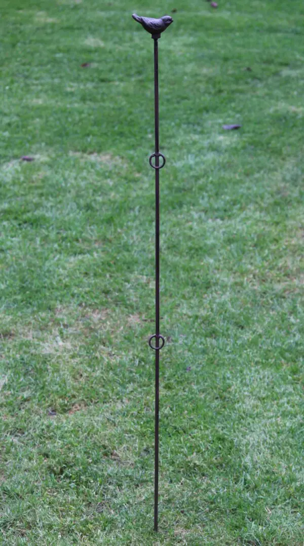 Plantensteun Vogel, Recht met 2 ogen 125cm PY25V - Afbeelding 2