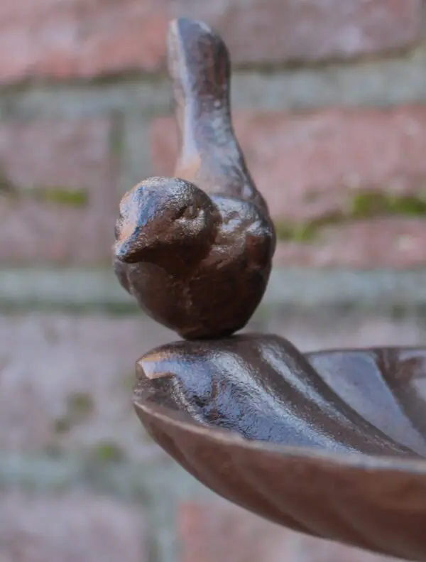 Wandhaak met vogelschaal en vogels, gietijzer FB163 - Afbeelding 5