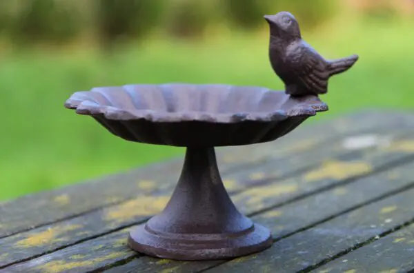 Vogelschaal, vogelbad op voet, gietijzer, FB164