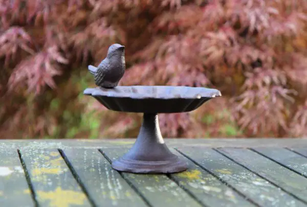 Vogelschaal, vogelbad op voet, gietijzer, FB164 - Afbeelding 7