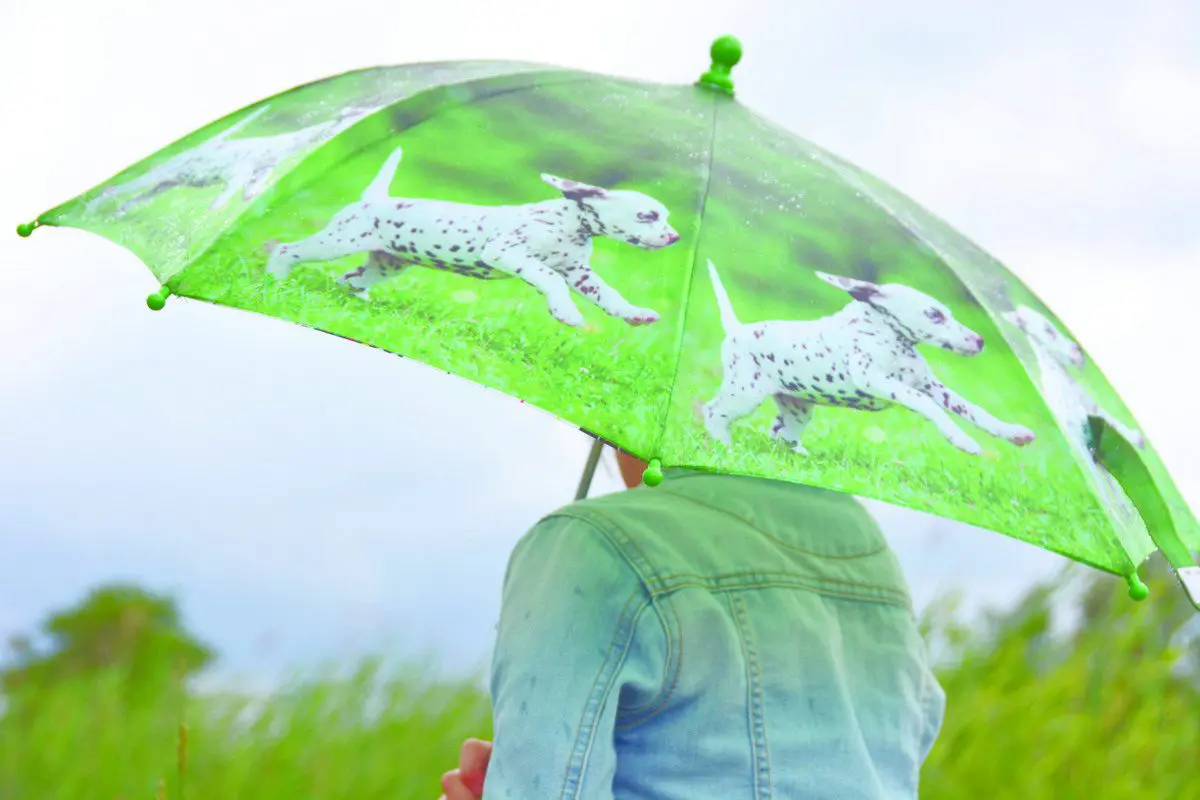 Kinderparaplu puppy, hondjes Dalmatiër KG160PD - Afbeelding 5