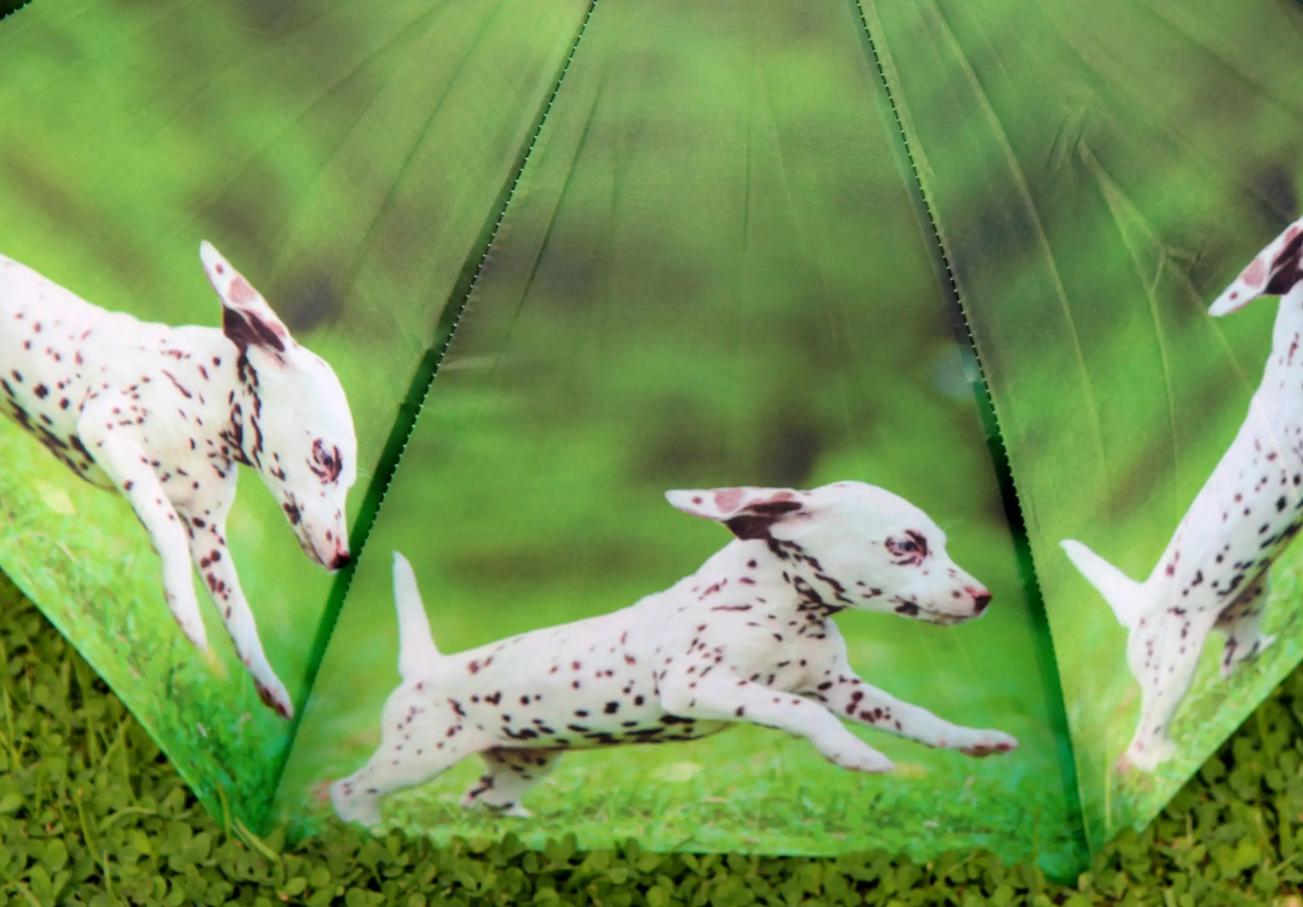 Kinderparaplu puppy, hondjes Dalmatiër KG160PD - Afbeelding 4