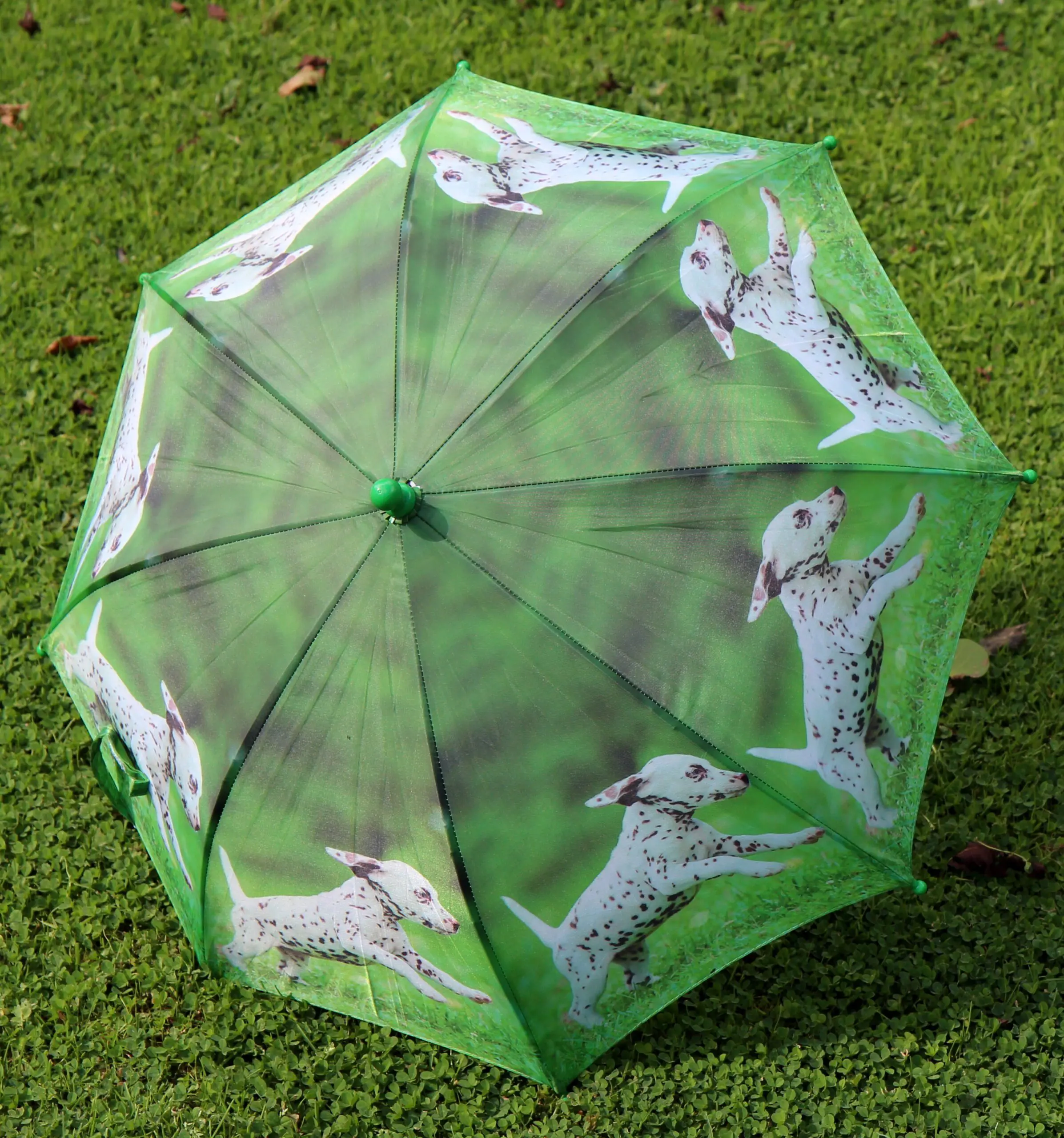 Kinderparaplu puppy, hondjes Dalmatiër KG160PD - Afbeelding 6