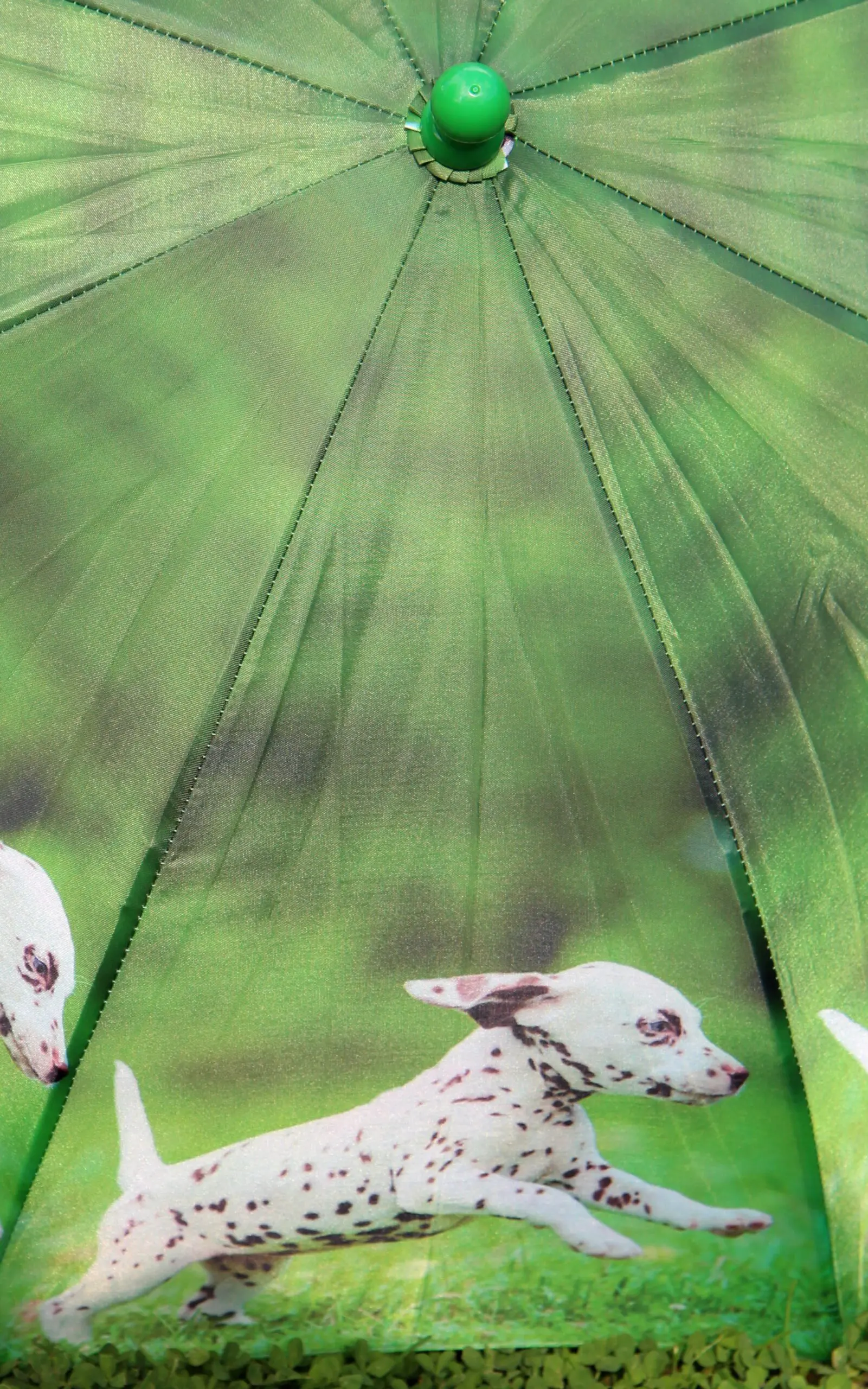 Kinderparaplu puppy, hondjes Dalmatiër KG160PD - Afbeelding 7