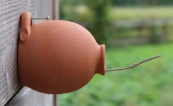 Nestkast, vogelpot voor Mezen en Mussen, steen NK14 - Afbeelding 4