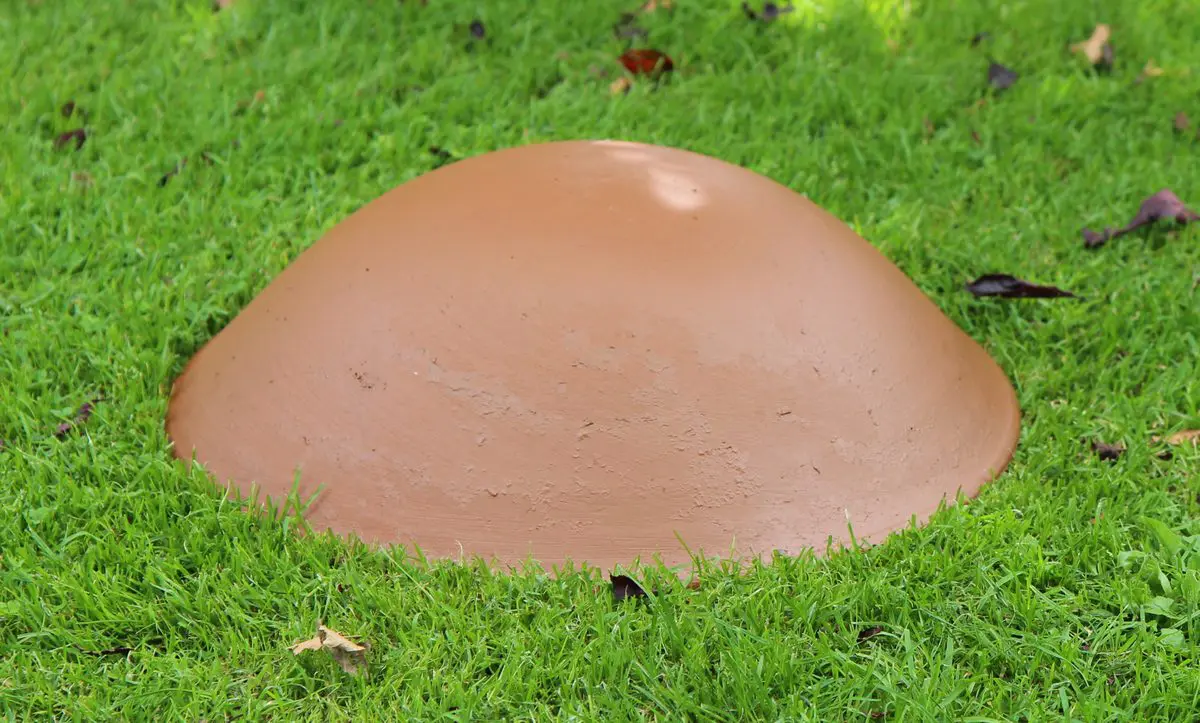 Schaal Metaal Roest - Afbeelding 3