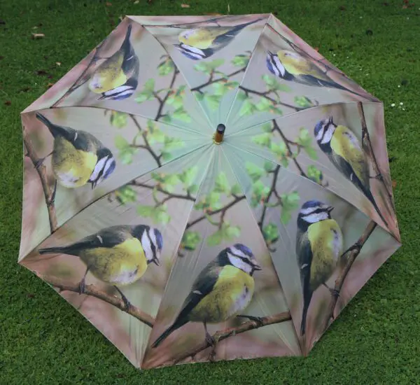 Paraplu vogel, Pimpelmees     TP135D - Afbeelding 5