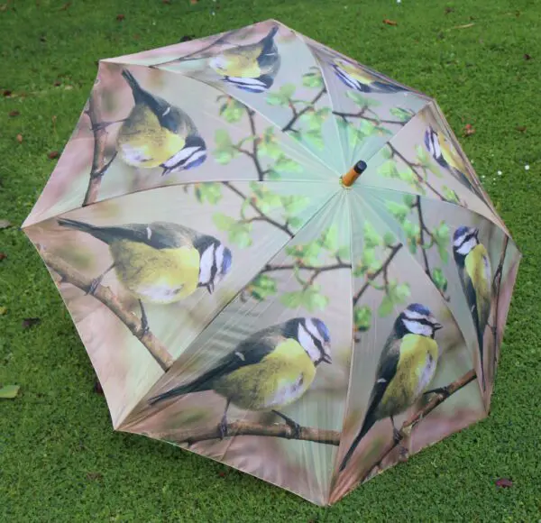 Paraplu vogel, Pimpelmees     TP135D - Afbeelding 3