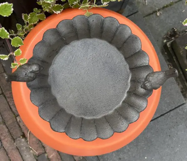 Vogelschaal, vogelbad bloem, gietijzer VB233 - Afbeelding 5