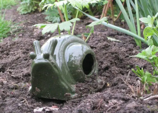 Slakkenval, keramiek FY04 - Afbeelding 5