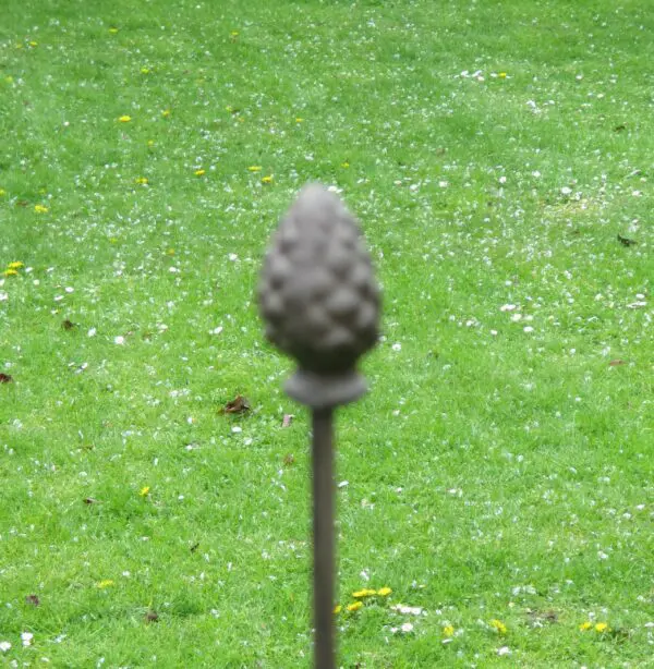 Plantensteun dennenappel, recht met 2 ogen, 130 cm. PY25D-6 - Afbeelding 2