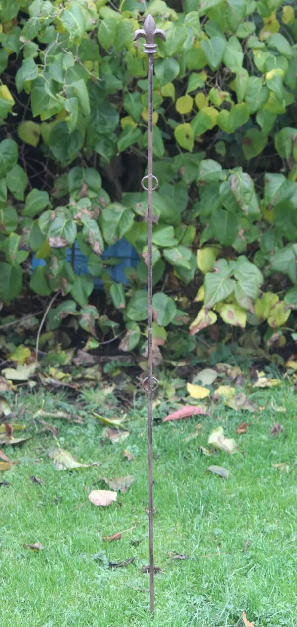Plantensteun Franse lelie met 2 ogen, 125 cm. PY25F