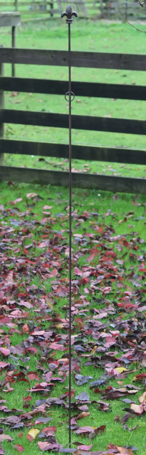 Plantensteun Franse lelie met 3 ogen, 175cm PY26F-7