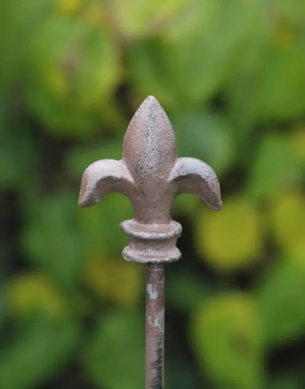 Plantensteun Franse lelie met 2 ogen, 125 cm. PY25F - Afbeelding 2
