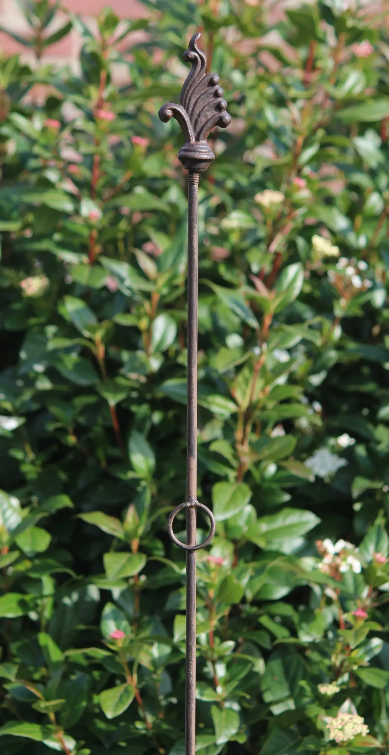 Plantensteun lelie met 3 ogen, 175 cm. PY26L - Afbeelding 2