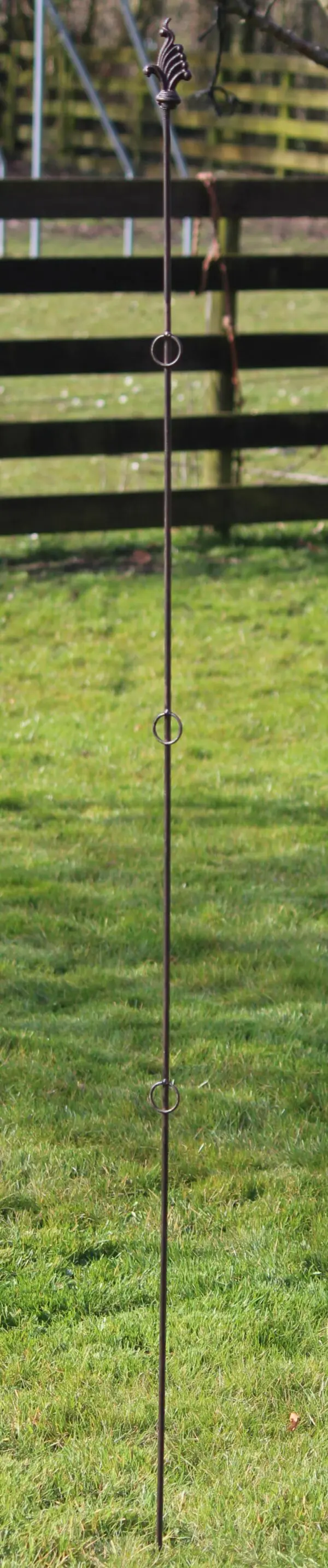 Plantensteun lelie met 3 ogen, 175 cm. PY26L - Afbeelding 3
