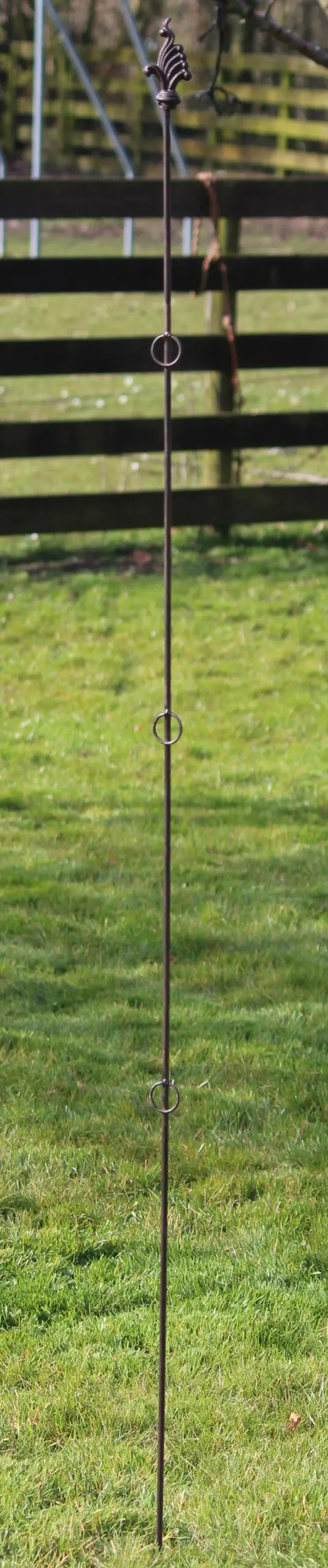 Plantensteun lelie met 3 ogen, 175 cm. PY26L - Afbeelding 3