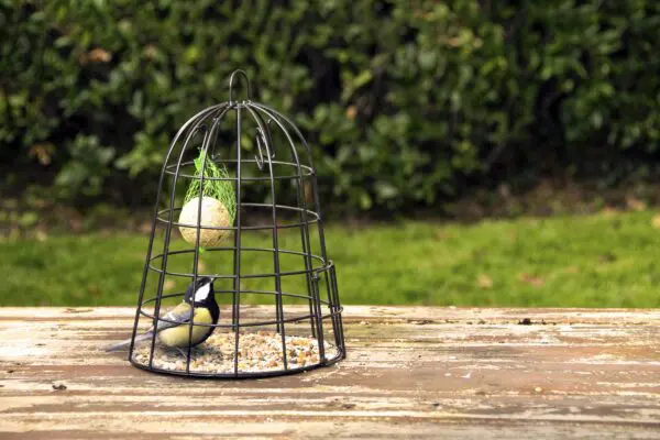 Selectieve voederkooi, vogelvoederkooi, zwart FB492