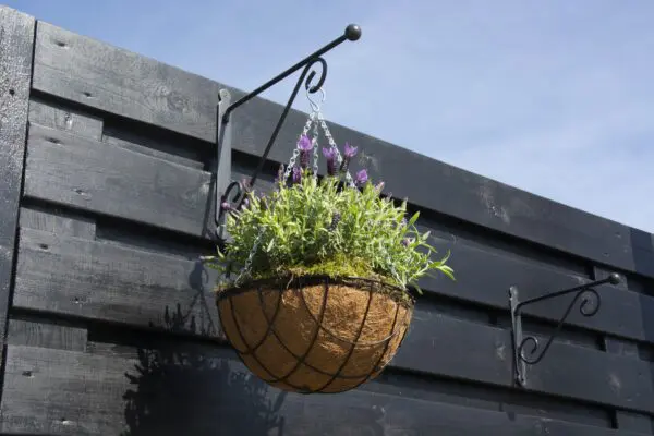 Wandhaak, hanging basket haak, 28,5 cm. antraciet, zwart, BPH117 - Afbeelding 3