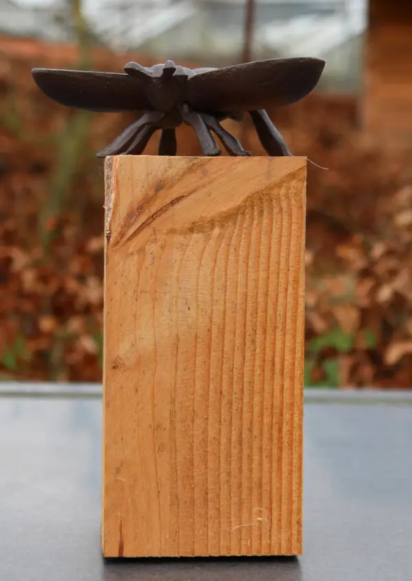 Vogelschaal, vogelbad bij, gietijzer     BEE014 - Afbeelding 3