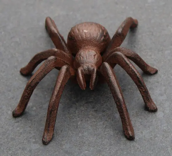 Spin, spider, gietijzer, groot SG381 - Afbeelding 3
