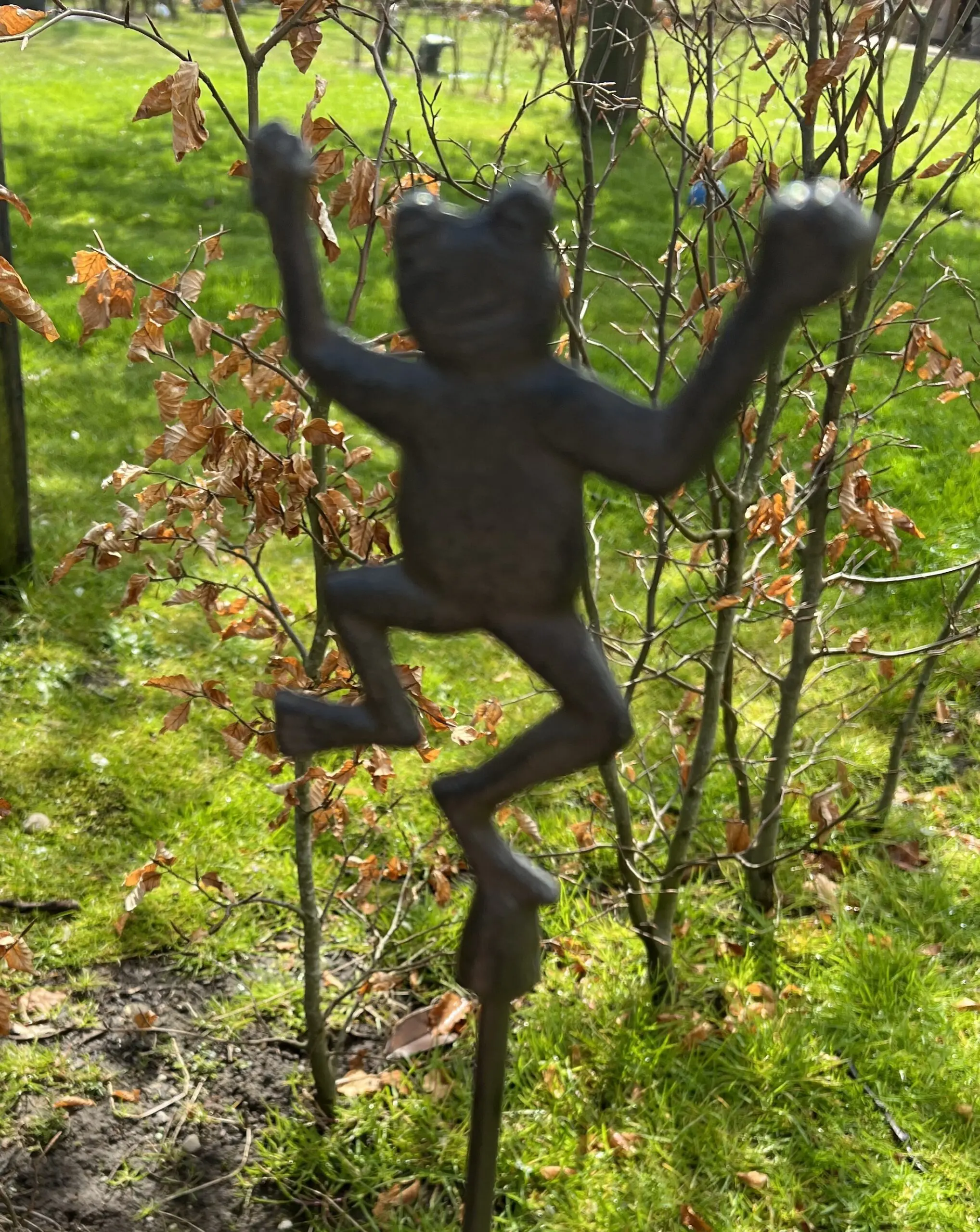 Regenmeter kikker, gietijzer RM132B - Afbeelding 2