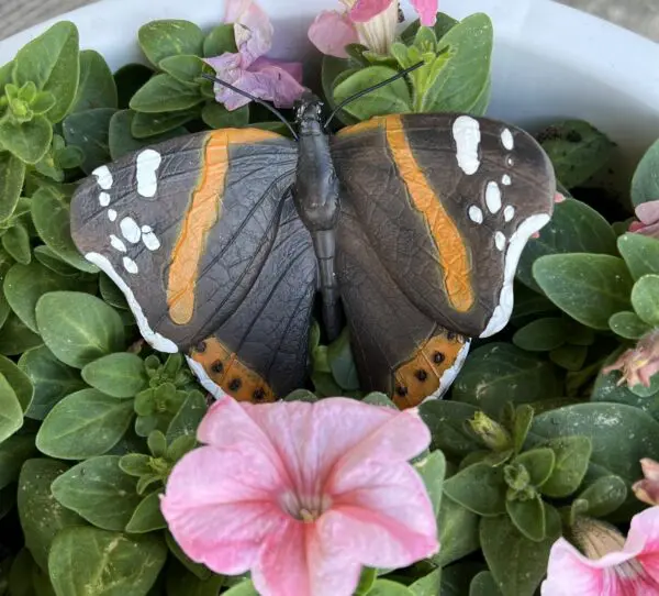 Vlinder, Muurvlinder, Polyresin, Oranje/bruin/wit