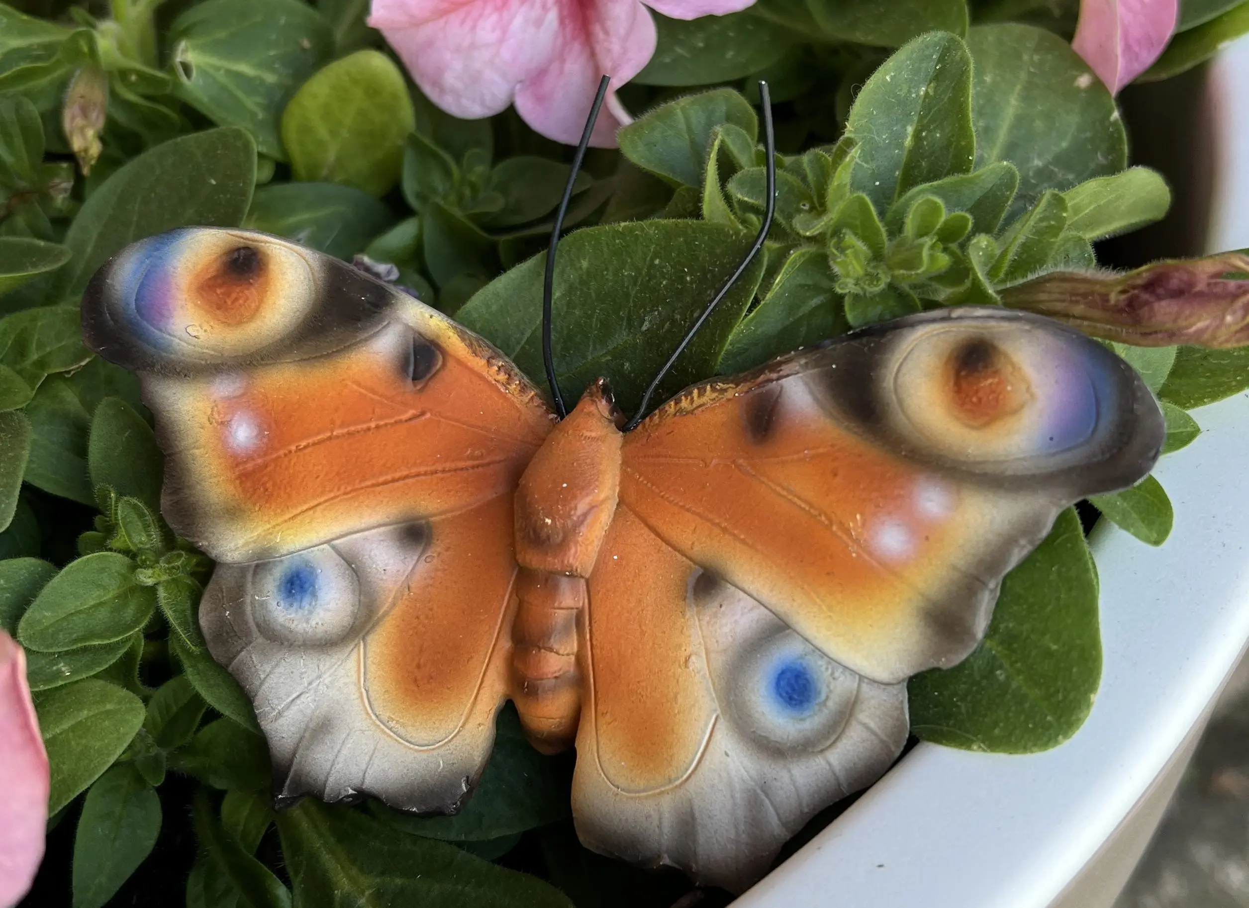 Vlinder, muurvlinder, polyresin, oranje-bruin  37000610B