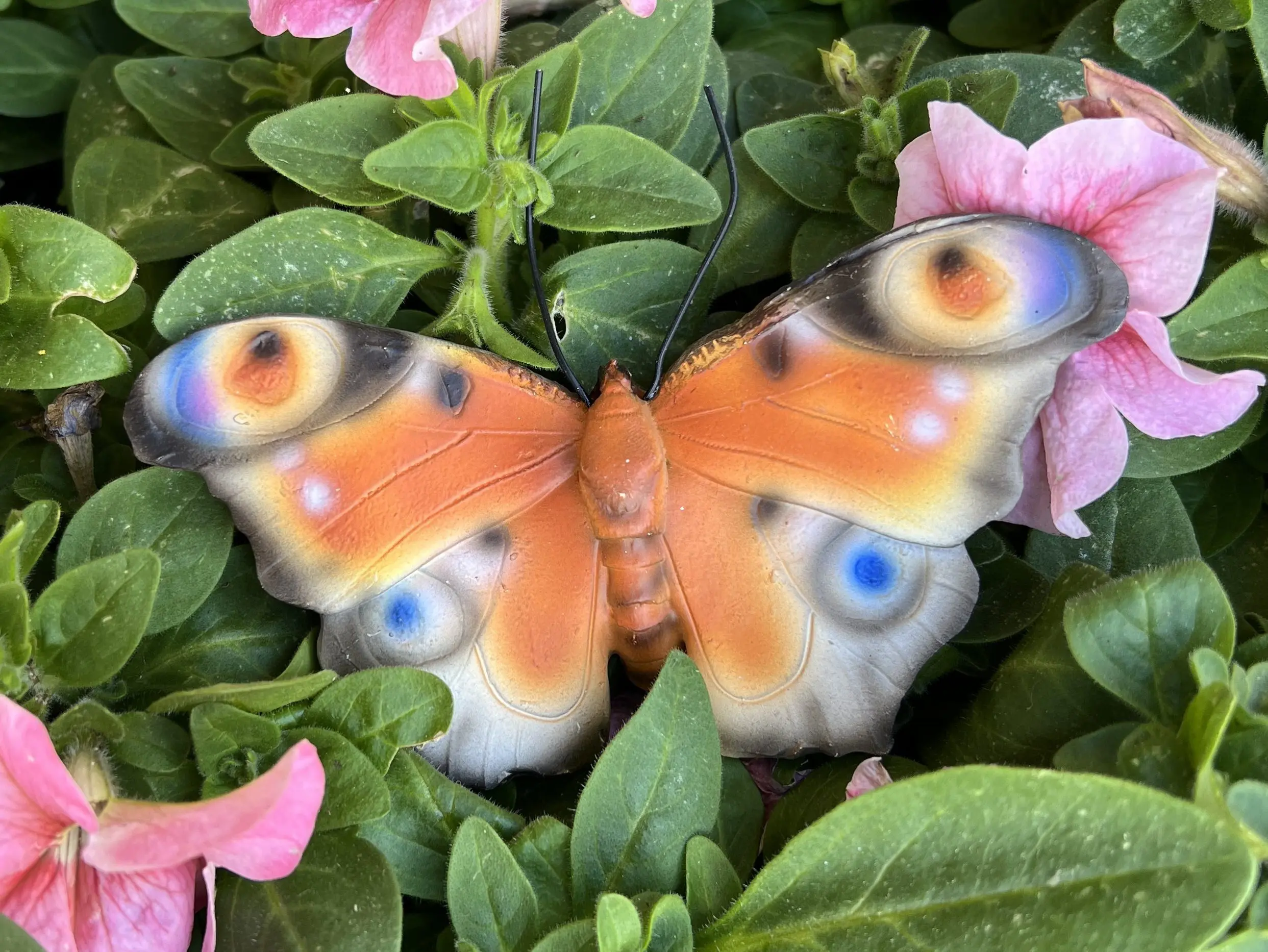 Vlinder, muurvlinder, polyresin, oranje-bruin  37000610B - Afbeelding 3