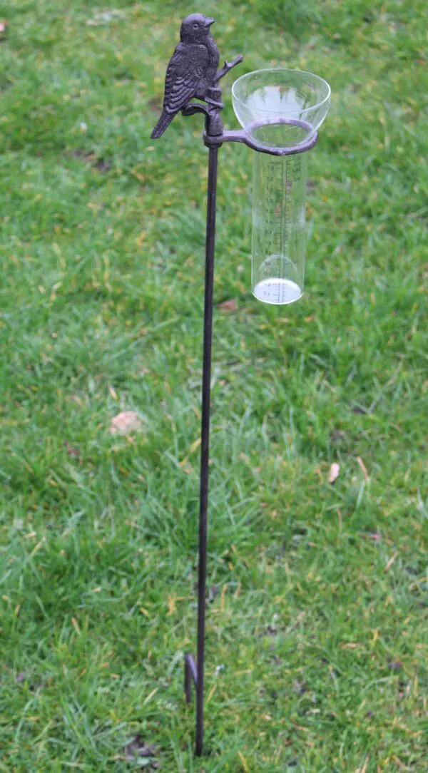 Regenmeter vogel, gietijzer RM150 - Afbeelding 3
