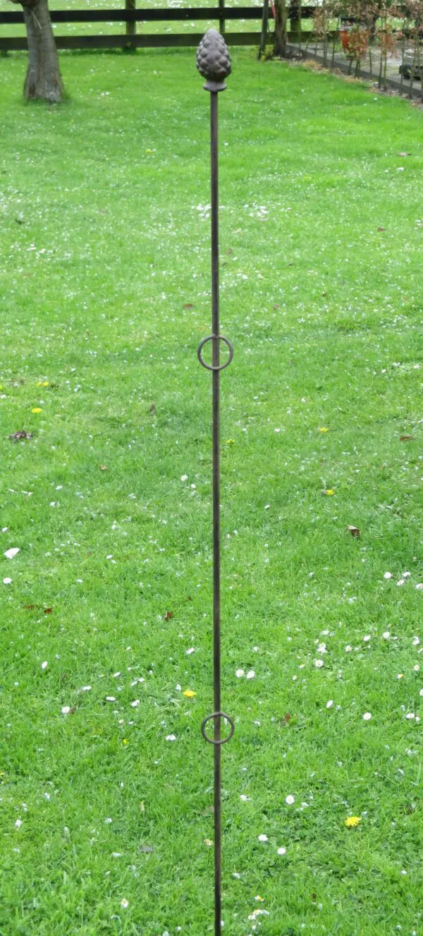Plantensteun dennenappel met 3 ogen, 175 cm PY26D-6 - Afbeelding 2