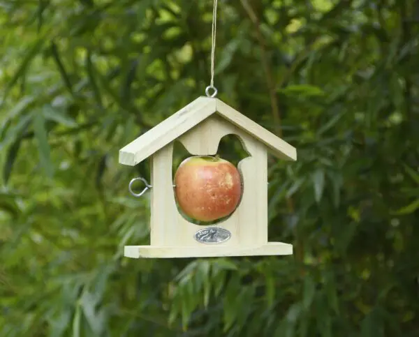 Vogelvoerhanger voor een appel met 'vogel' gat FB12V - Afbeelding 2