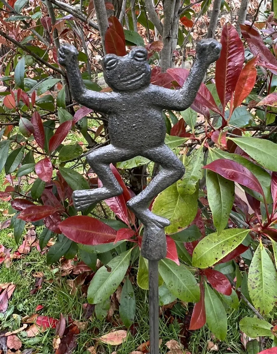 Regenmeter kikker, gietijzer RM132B - Afbeelding 7