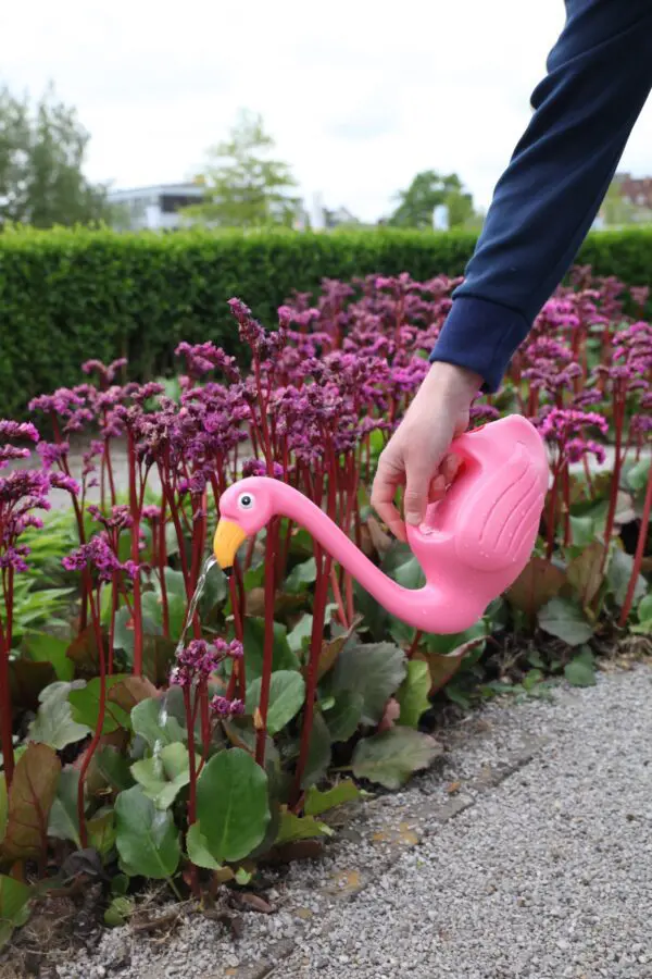 Gieter Flamingo Roze TG229 - Afbeelding 3