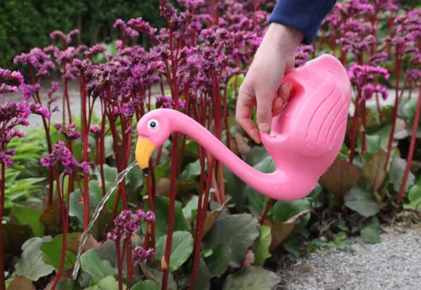 Gieter Flamingo Roze TG229 - Afbeelding 2