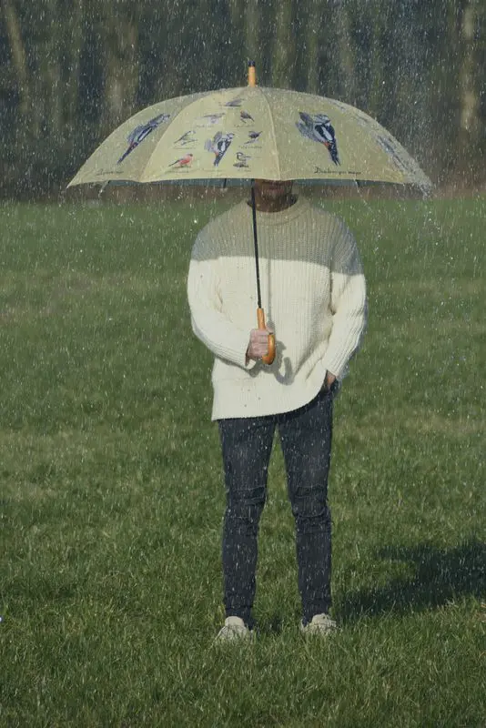 Paraplu Europese vogels, lichtgeel  TP310 - Afbeelding 3