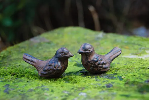 2 gietijzeren vogeltjes om te zeggen "dank je wel" in blik E8216 - Afbeelding 2