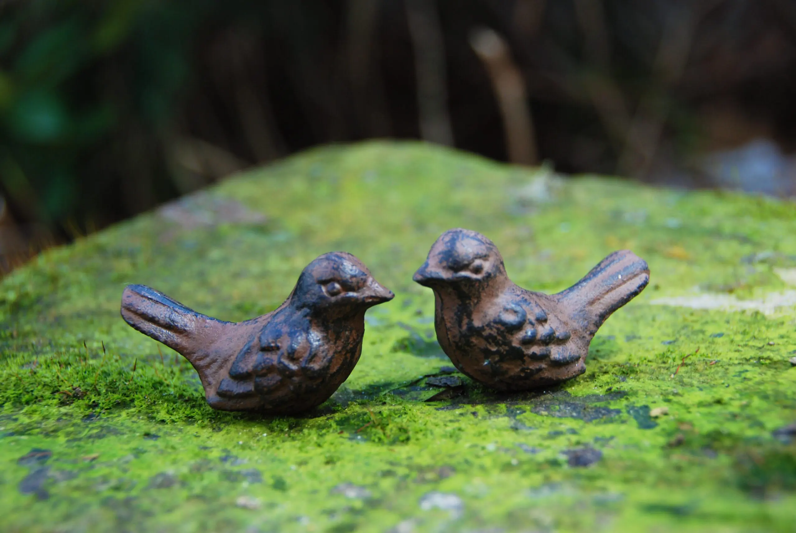 2 gietijzeren vogeltjes om te zeggen "dank je wel" in blik E8216 - Afbeelding 2