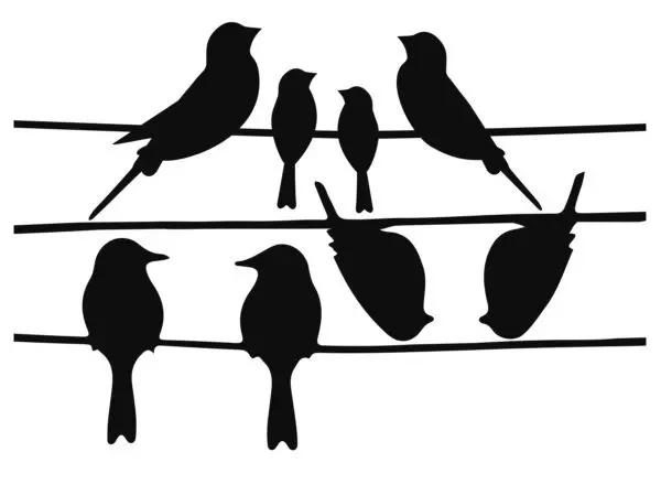 Raamstickers vogels op draad, zwart FB576