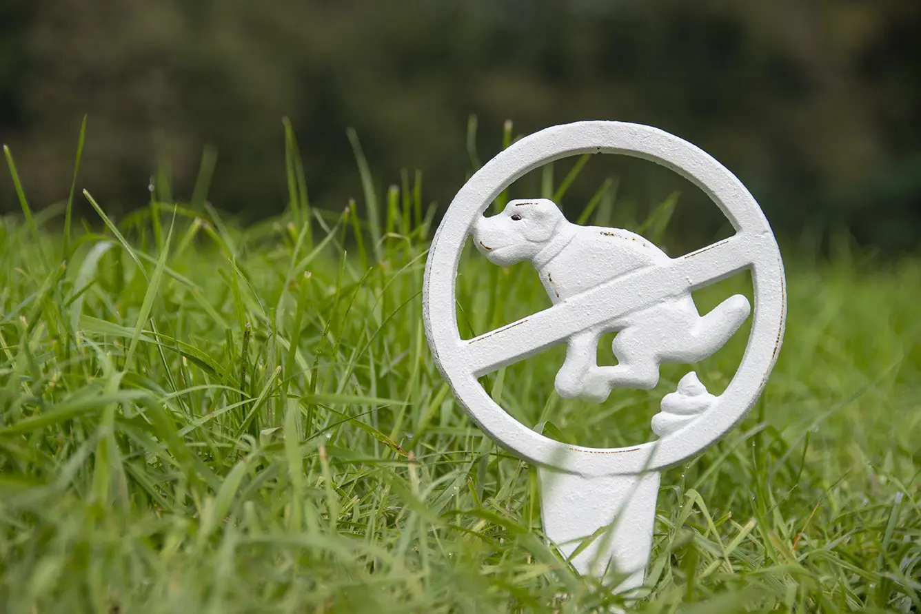 Hondenbord: Verboden te poepen, wit, gietijzer HB25 - Afbeelding 6