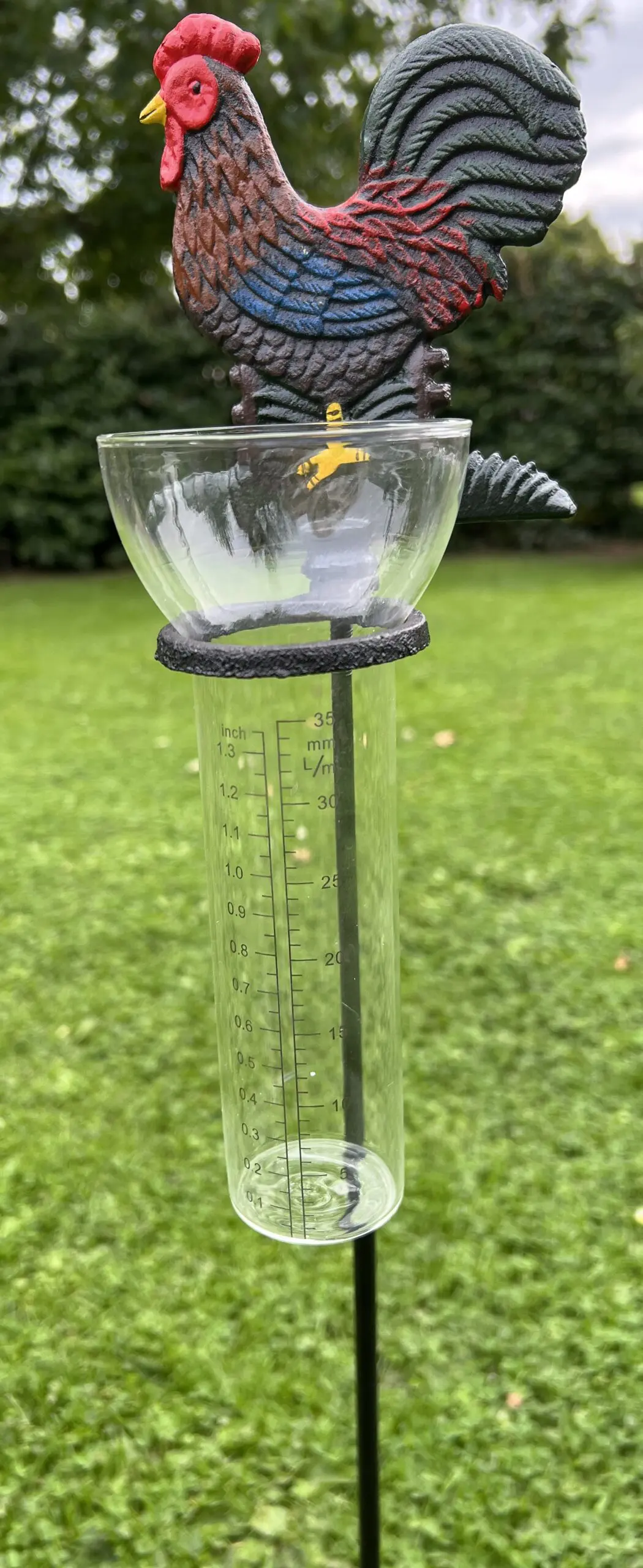Regenmeter haan, gietijzer, gekleurd RM139 - Afbeelding 2