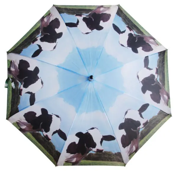 Paraplu koe   TP137K
