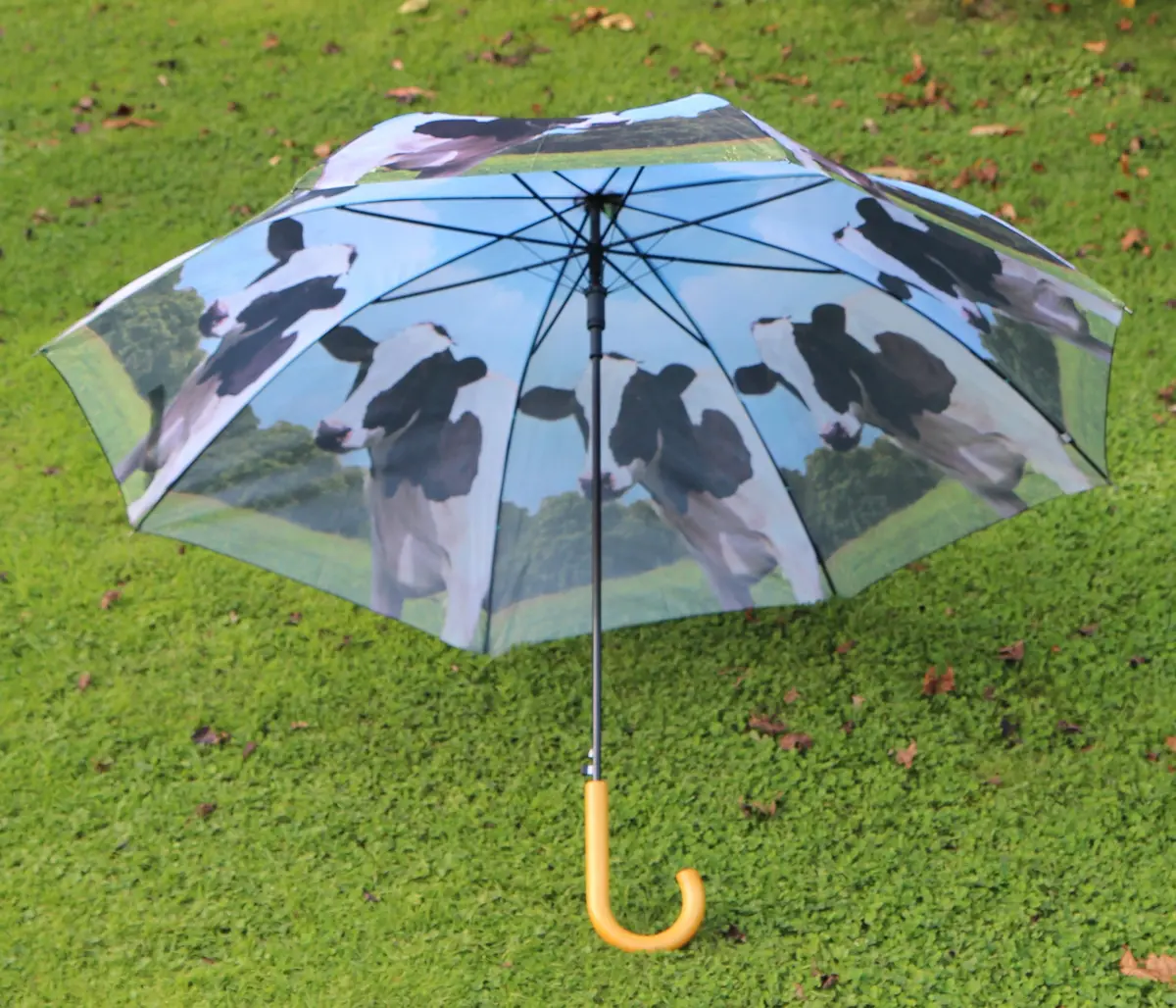 Paraplu koe   TP137K - Afbeelding 6