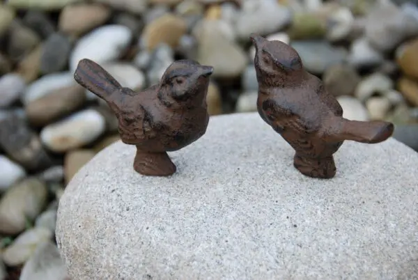 Twee vogeltjes op een steen, kei TT169V